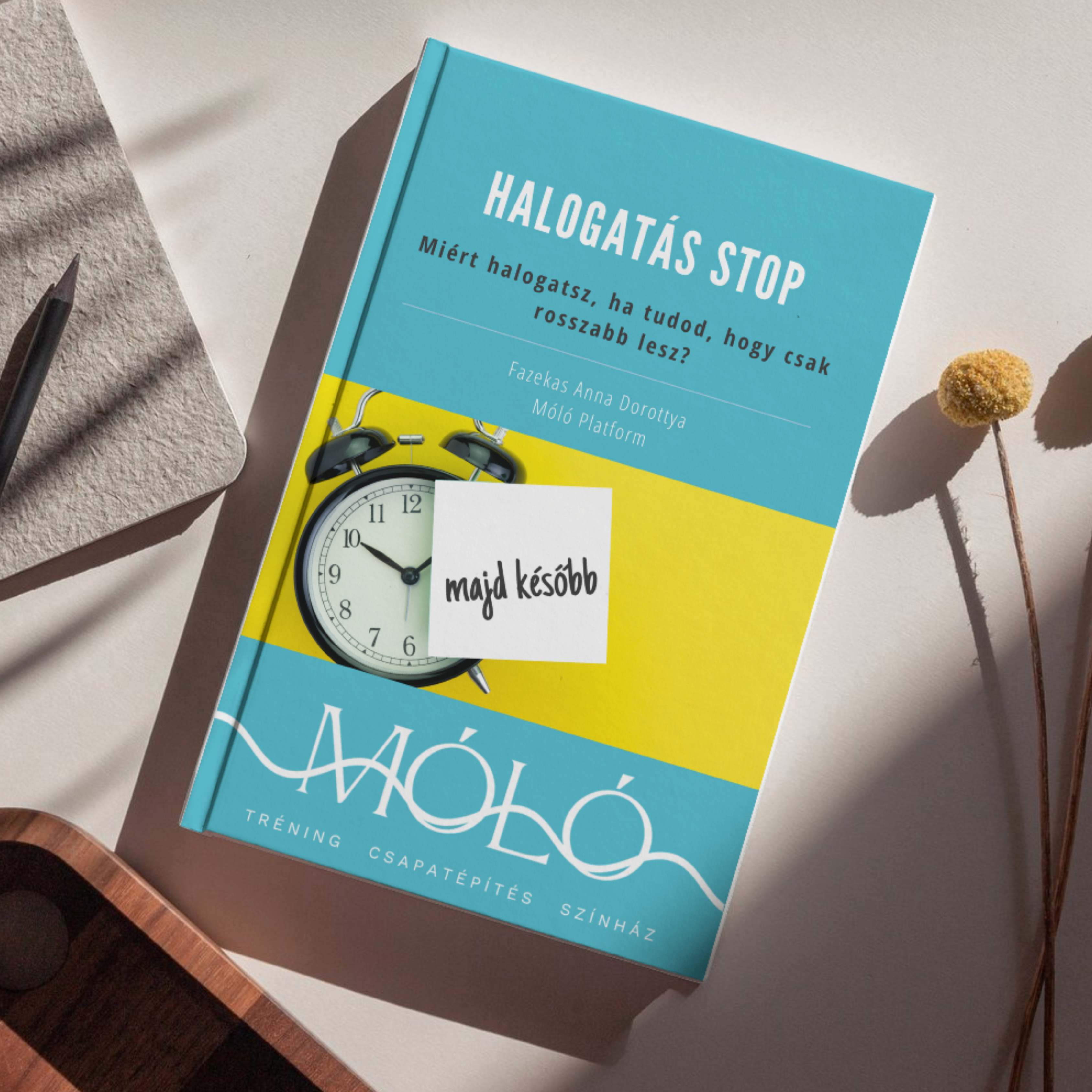 Black and White Minimalist Book Mockup Instagram Post